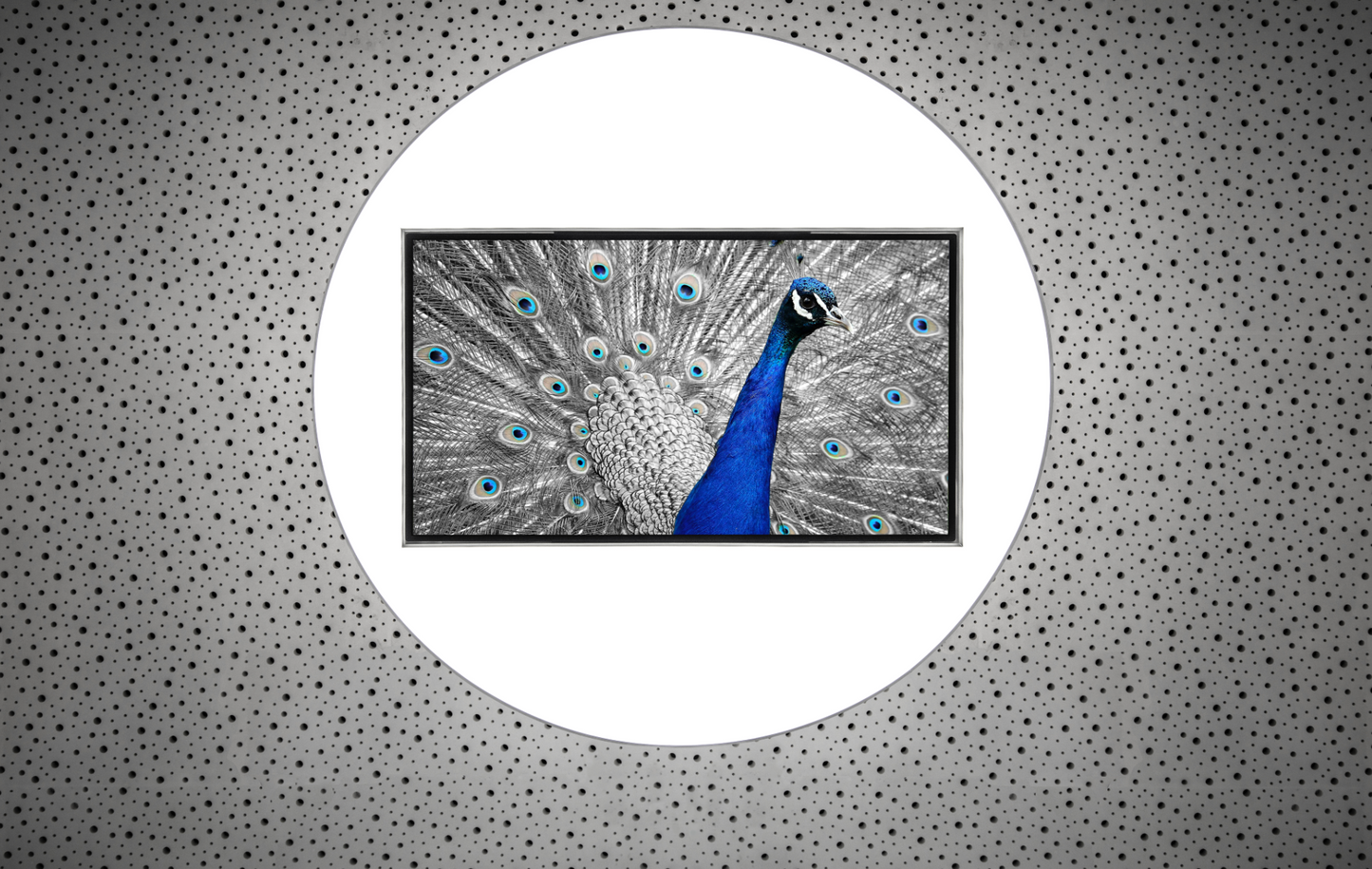 Medialightsystems zeroONE® Pro