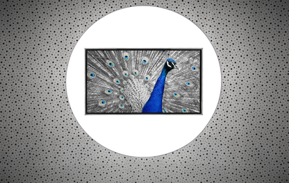 Medialightsystems zeroONE® Pro